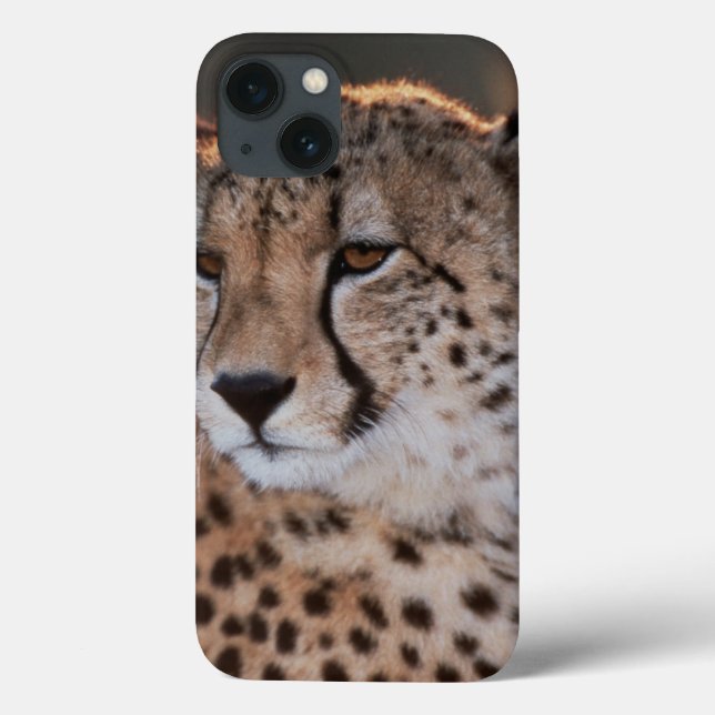 Cheetah looking away Case-Mate iPhone case (Back)