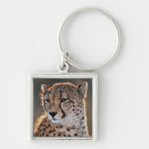 Cheetah looking away key ring