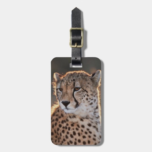 Cheetah looking away luggage tag (Front Vertical)