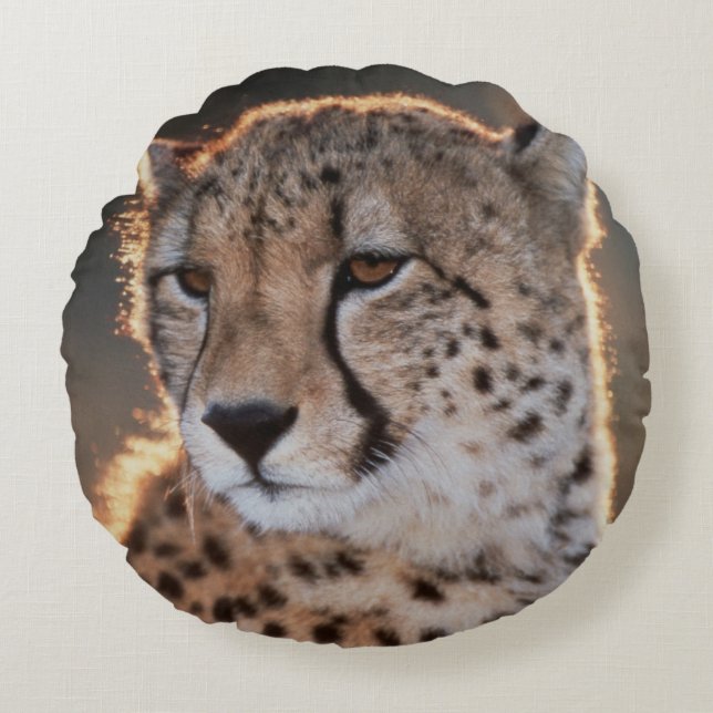 Cheetah looking away round cushion (Front)
