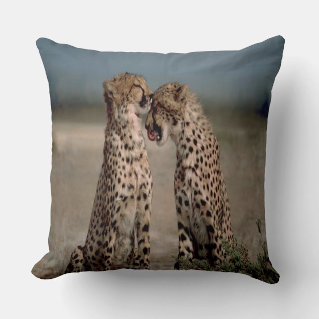 Cheetah Love Cushion (Front)