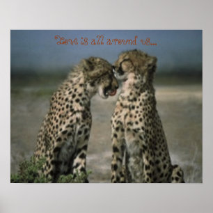 Cheetah Love Poster