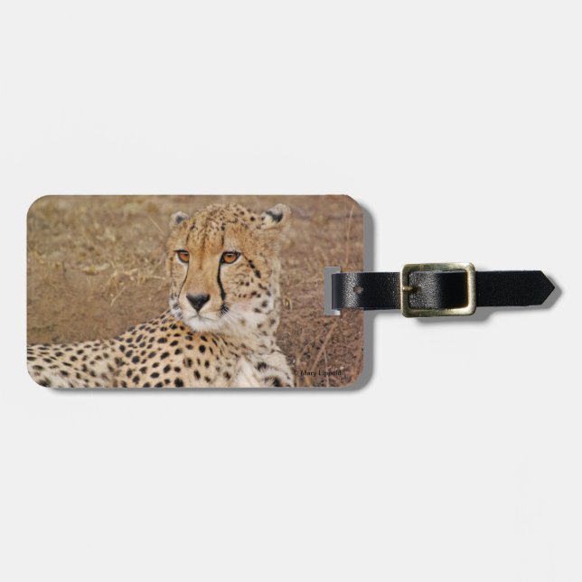 Cheetah Luggage Tag (Front Horizontal)