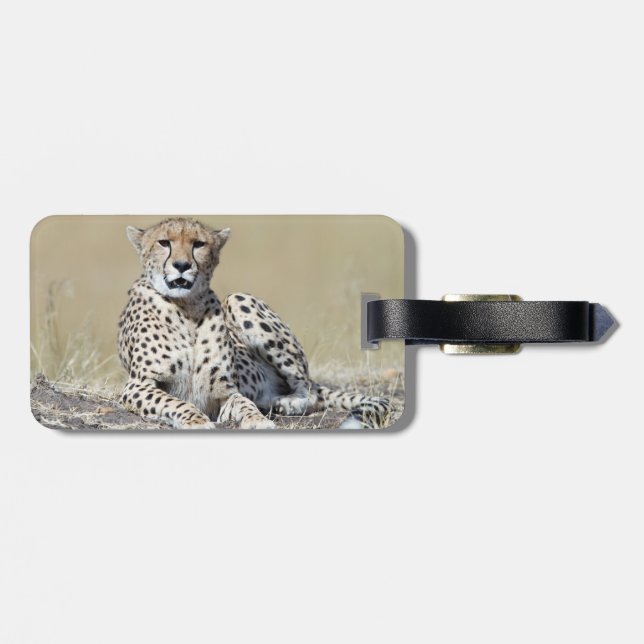 Cheetah Luggage Tag (Back Horizontal)
