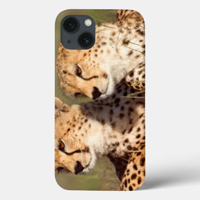 Cheetah Lying In Grass, Ngorongoro Conservation Case-Mate iPhone Case (Back)