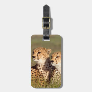 Cheetah Lying In Grass, Ngorongoro Conservation Luggage Tag