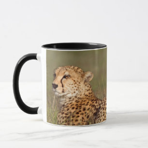 Cheetah Lying In Grass, Ngorongoro Conservation Mug