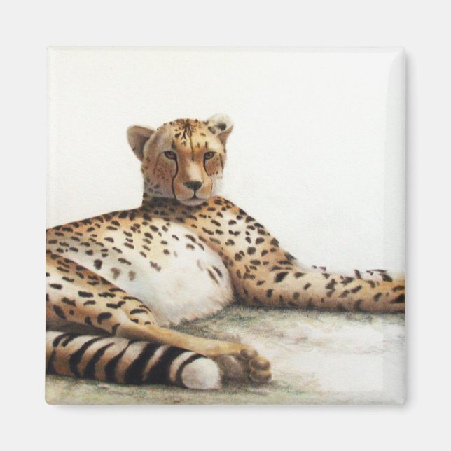 Cheetah Magnet (Front)