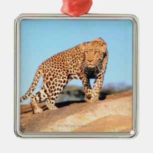 Cheetah Metal Tree Decoration