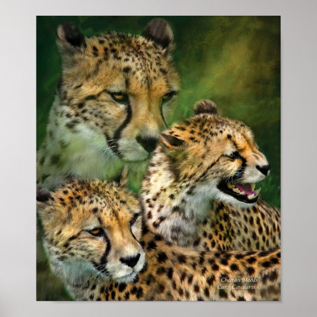 Cheetah Moods Art Poster/Print Poster (Front)