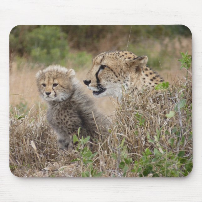 Cheetah Mother and Cub Mouse Mat (Front)