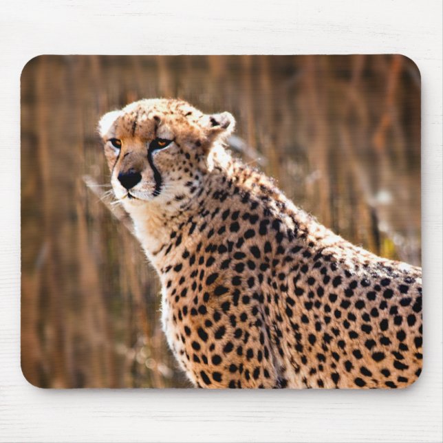 Cheetah Mouse Mat (Front)