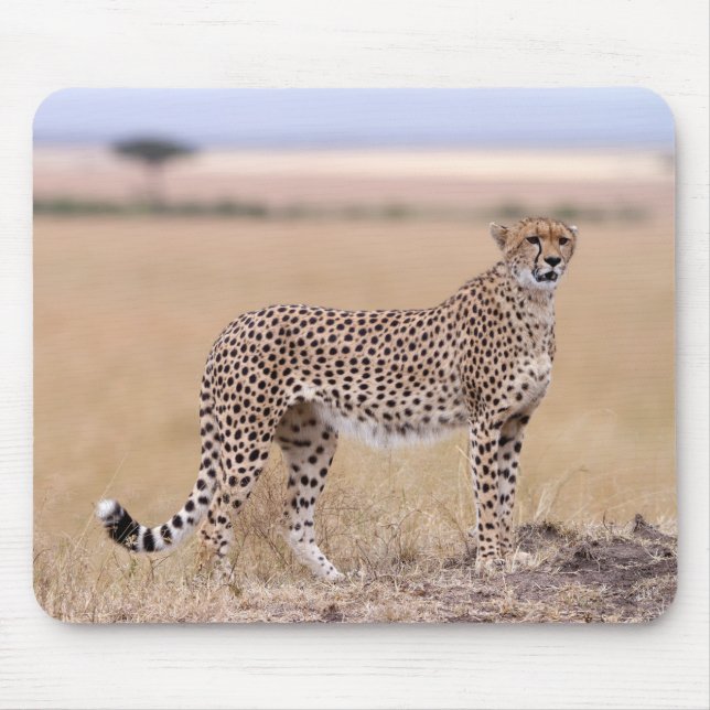 Cheetah Mouse Mat (Front)
