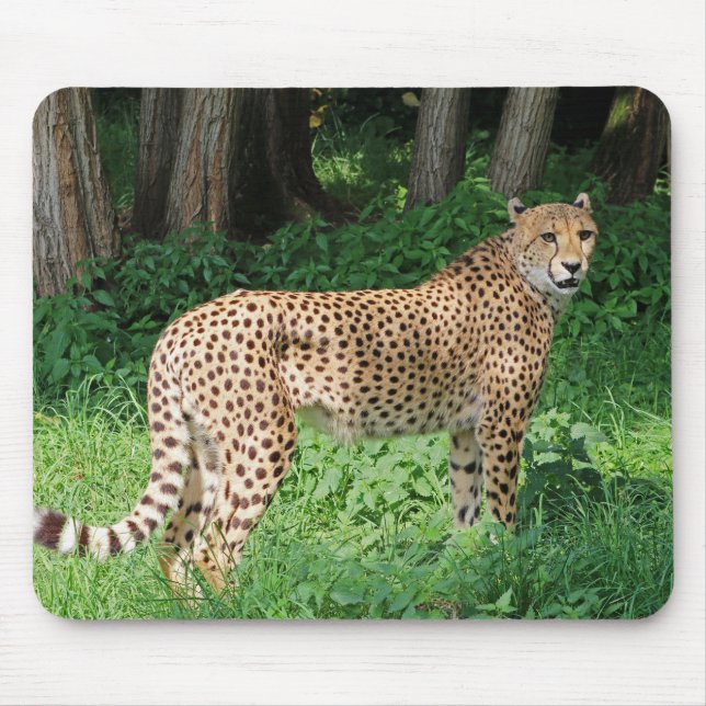 Cheetah Mouse Mat (Front)
