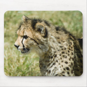 Cheetah Mouse Mat