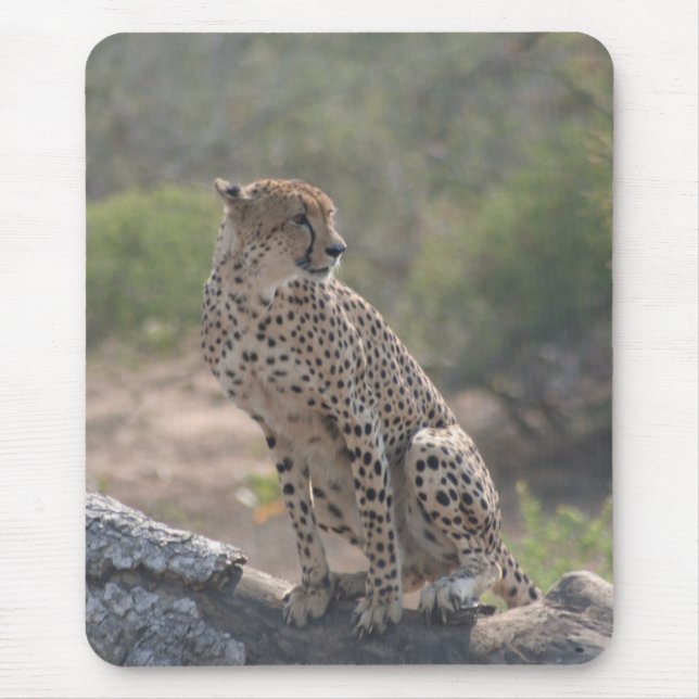 Cheetah Mouse Mat (Front)