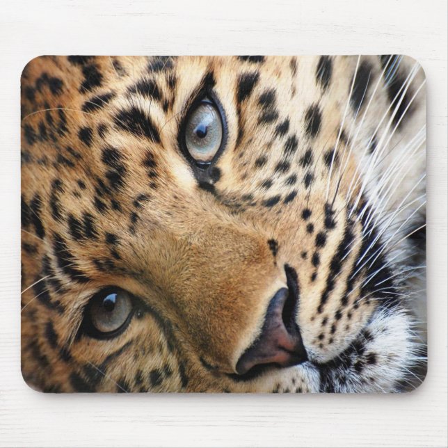 Cheetah Mouse Mat (Front)