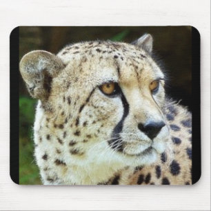 cheetah mouse mat