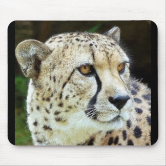 cheetah mouse mat