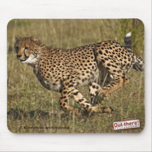 Cheetah Mouse Mat