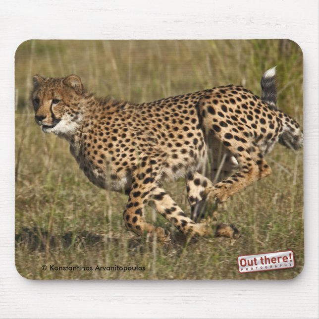 Cheetah Mouse Mat (Front)