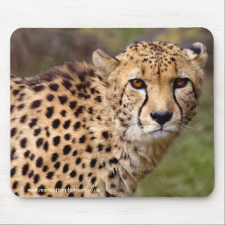 Cheetah Mousemat