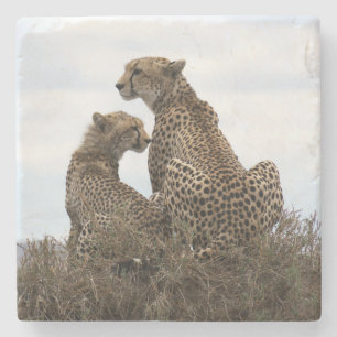 Cheetah Mum and Cub (full colour) Stone Coaster