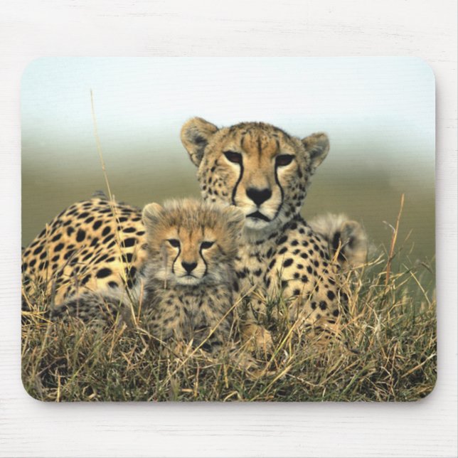 Cheetah Mum and Cub Mousepad (Front)