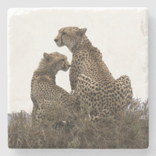 Cheetah Mum and Cub Stone Coaster