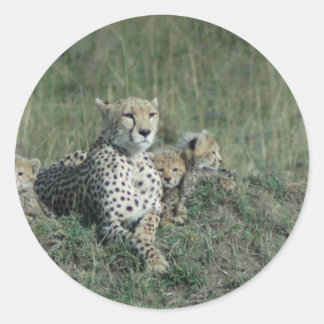 Cheetah Mum and her three cubs Classic Round Sticker