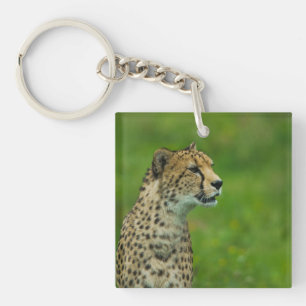 Cheetah On A Lookout Key Ring