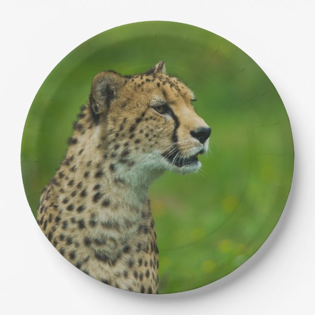 Cheetah On A Lookout Paper Plate (Front)