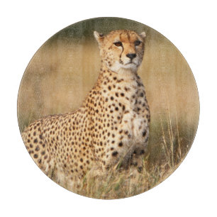 Cheetah on small mound for better visibility cutting board