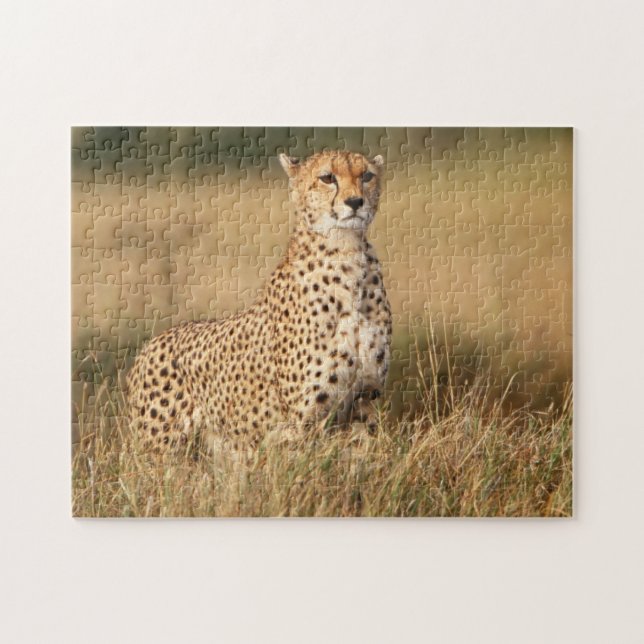 Cheetah on small mound for better visibility jigsaw puzzle (Horizontal)