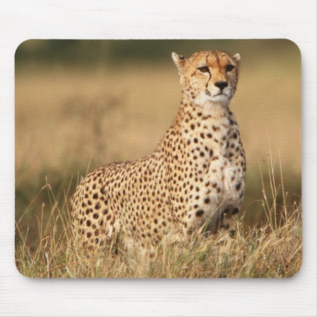 Cheetah on small mound for better visibility mouse mat (Front)