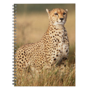 Cheetah on small mound for better visibility notebook