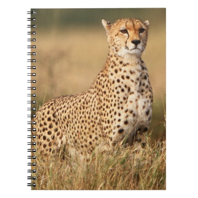 Cheetah on small mound for better visibility notebook (Front)