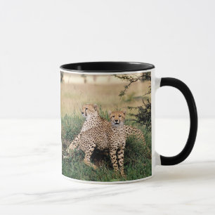 Cheetah Pair Mug