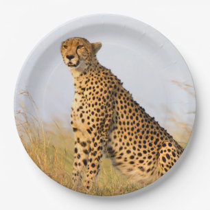 Cheetah Paper Plate