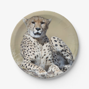 Cheetah Paper Plate