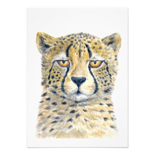 Cheetah Photo Print