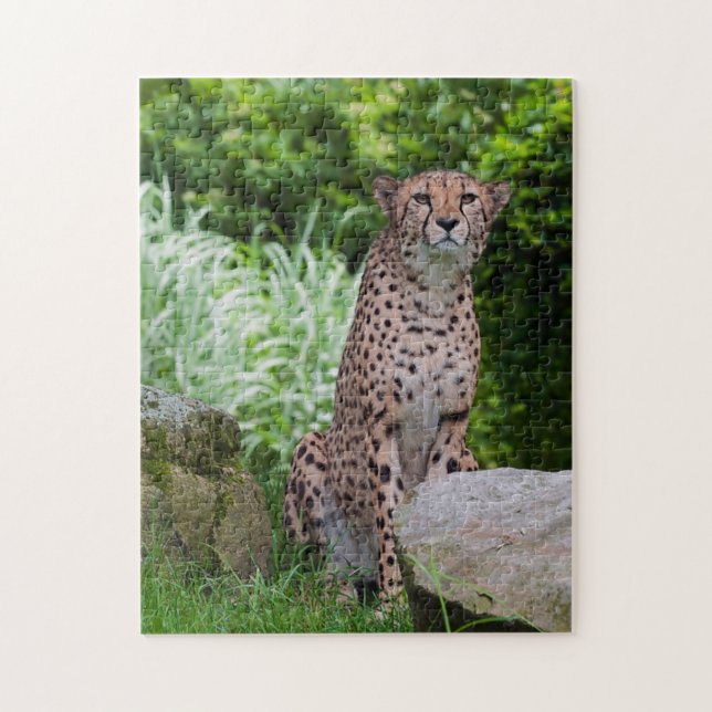 Cheetah Photo Puzzle (Vertical)