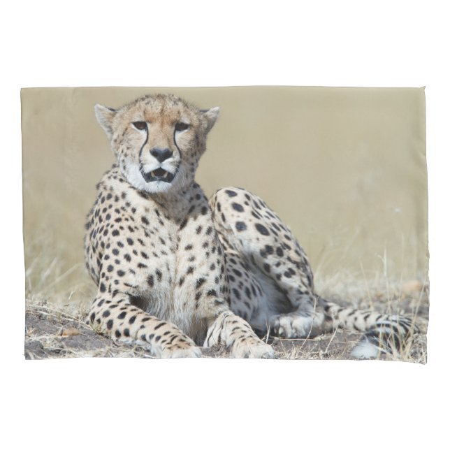 Cheetah Pillowcase (Front)