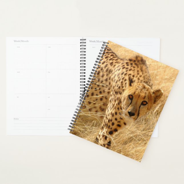 Cheetah Planner (Display)