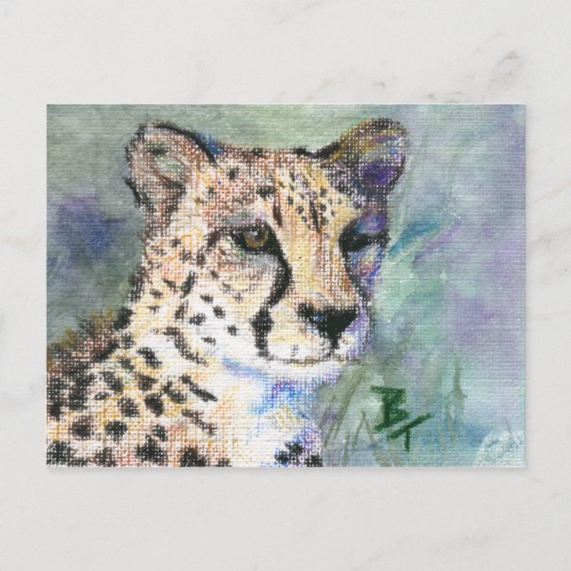Cheetah Portrait aceo Postcard (Front)