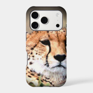 Cheetah Portrait by Full Moon: Nature's Grace