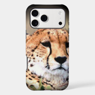 Cheetah Portrait by Full Moon: Nature's Grace