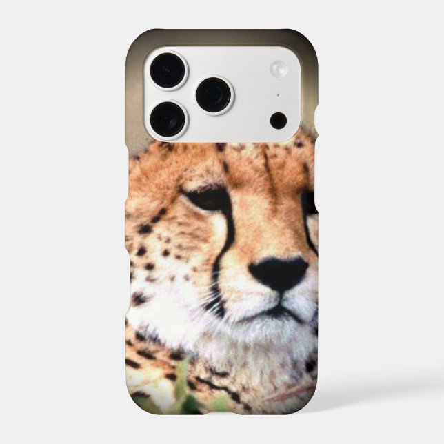 Cheetah Portrait by Full Moon: Nature's Grace (Back)