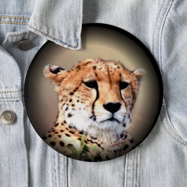 Cheetah Portrait by Full Moon: Nature's Grace 6 Cm Round Badge (In Situ)