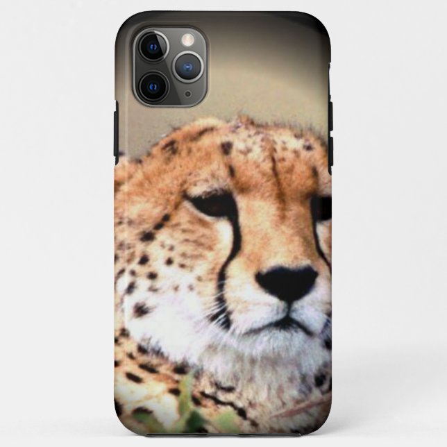 Cheetah Portrait by Full Moon: Nature's Grace Case-Mate iPhone Case (Back)